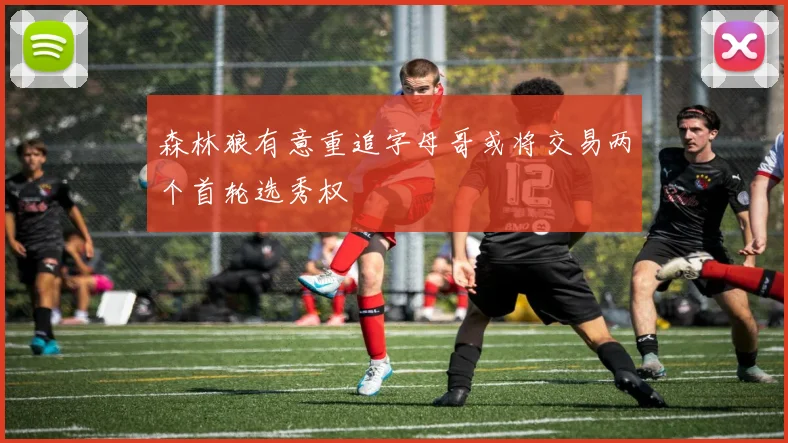 森林狼有意重追字母哥或将交易两个首轮选秀权