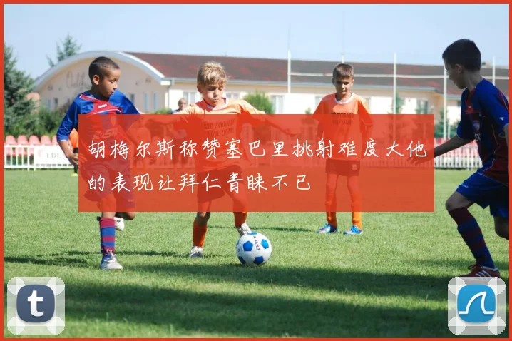 胡梅尔斯称赞塞巴里挑射难度大他的表现让拜仁青睐不已